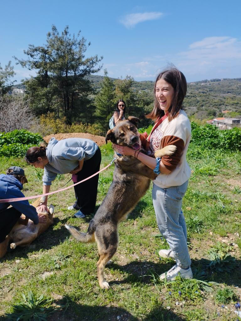 Sunrise Movement at the Animal Shelter