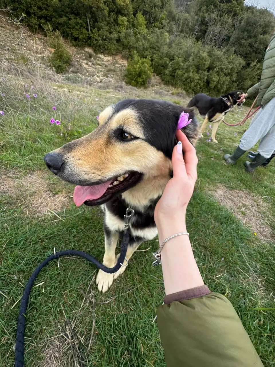 Students participating in the Sunrise Movement Initiative visited Animal Shelter Stray Planet
