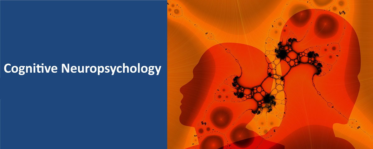 MSc in Cognitive Neuropsychology
